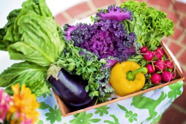 野菜作り初心者ですが，いろいろ挑戦していきます